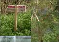 #8: Sign pointing toward confluence