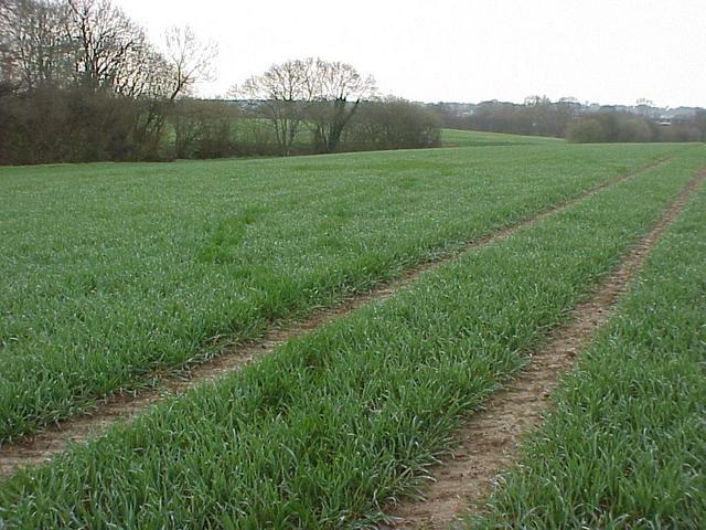 Confluence site, looking toward the southeast.