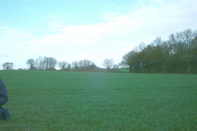 West