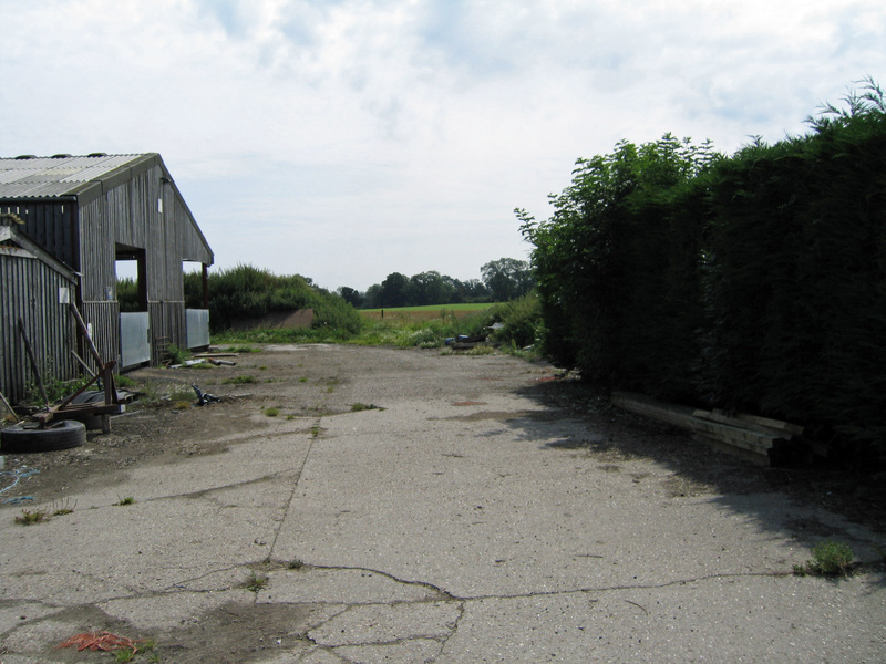 View East closer to Confluence on other side of bushes