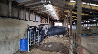 #8: view into the barn