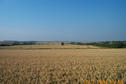 #2: North from the spot