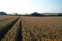 #3: Looking west