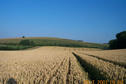 #4: Looking east