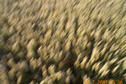 #6: X marks the spot - but a little shaky!