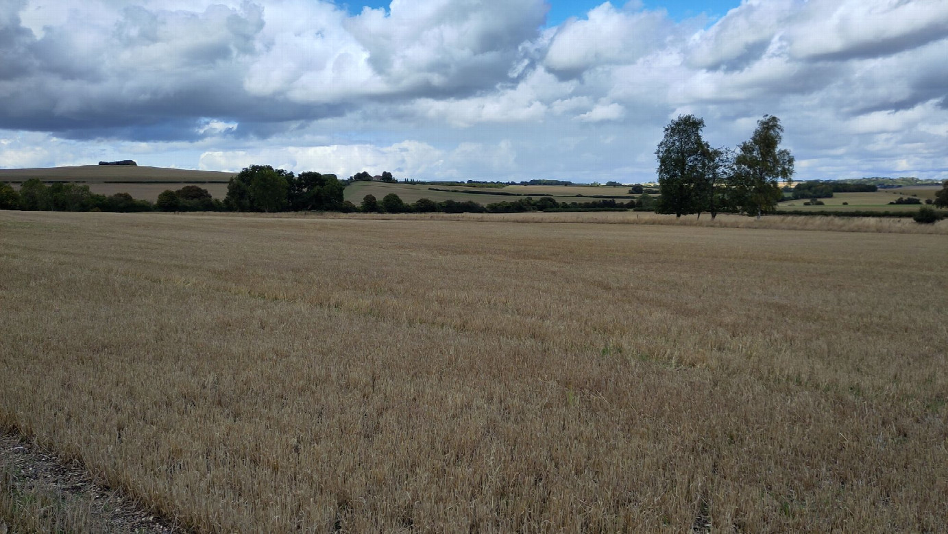 view to the north