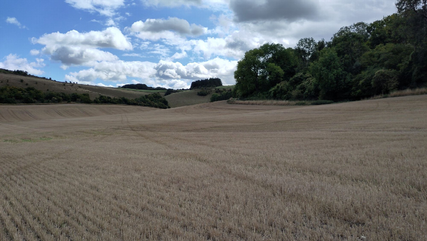 view to the south