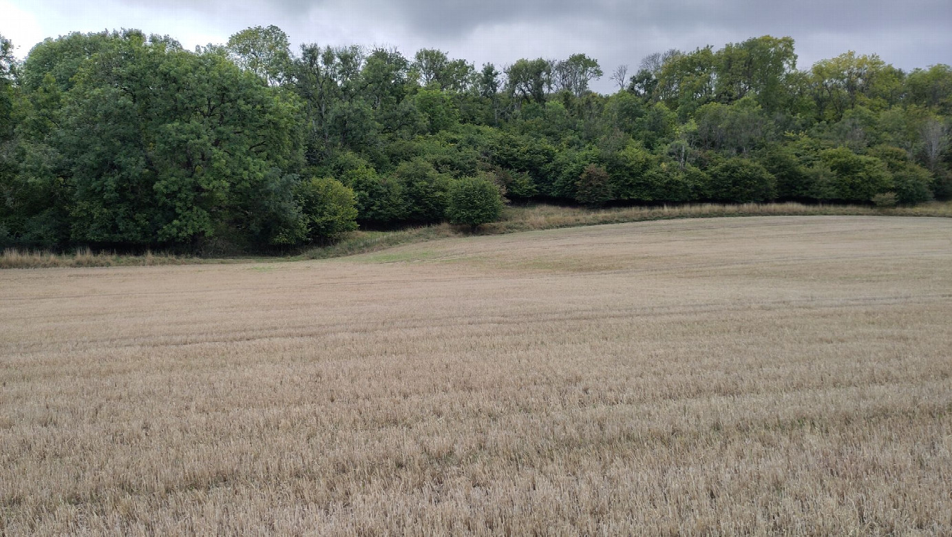 view to the west