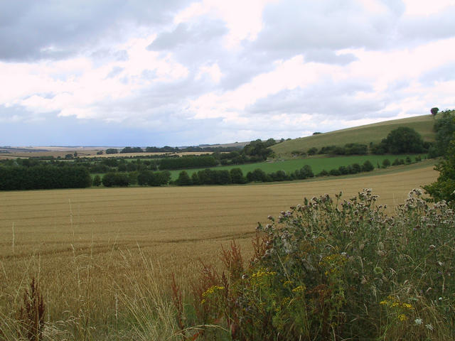 West toward the confluence