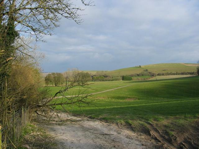 General View of the Area