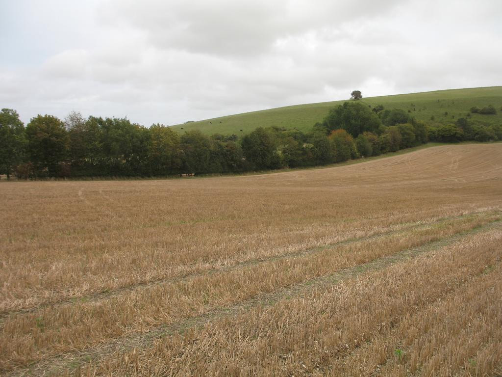 Osten; view east