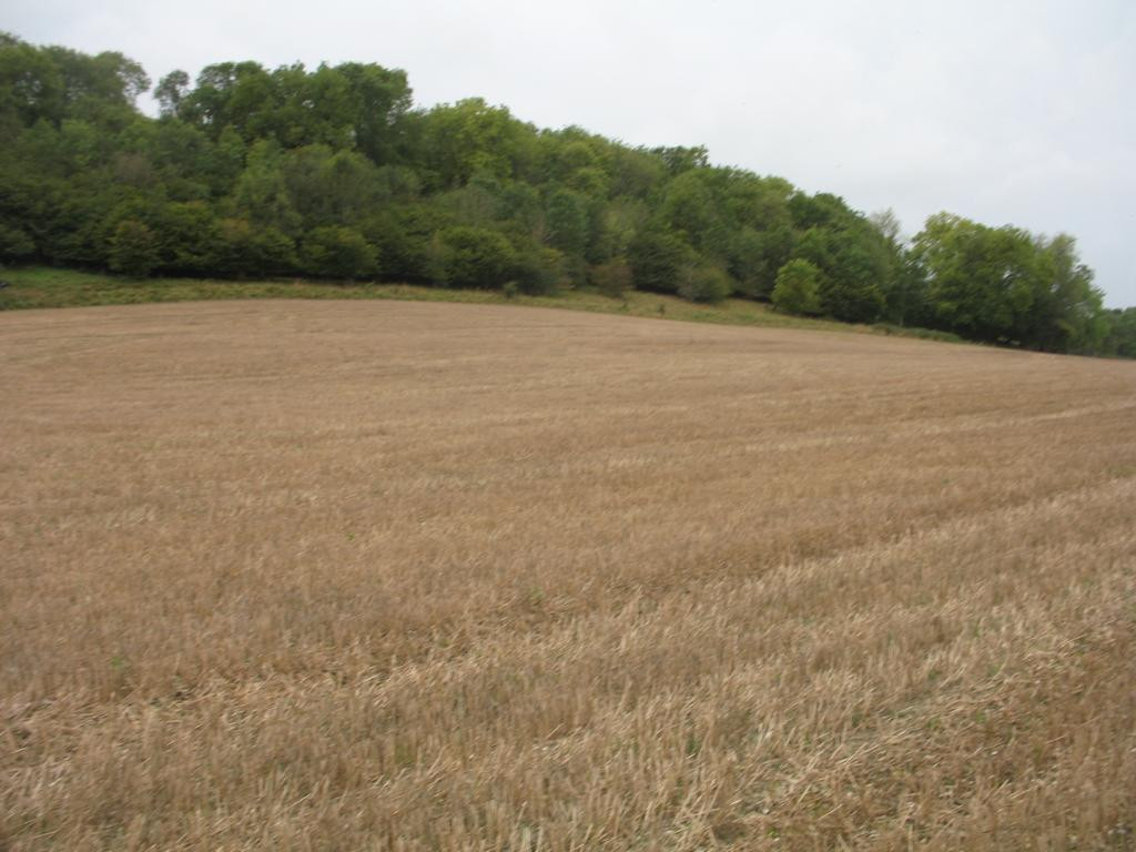 Westen; view west