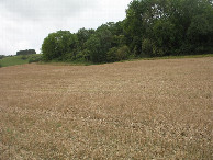 #3: Süden; view south