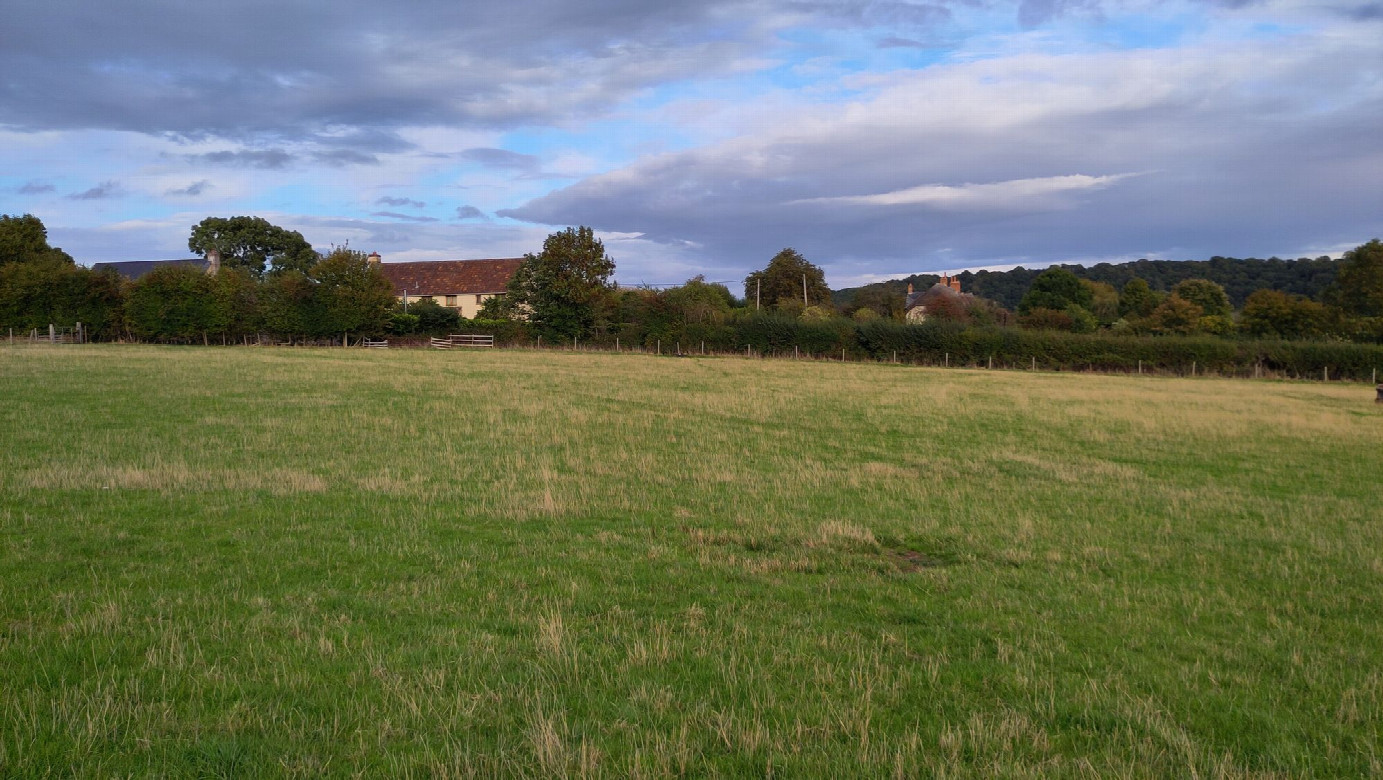 view to the east