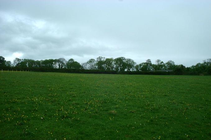 Looking North