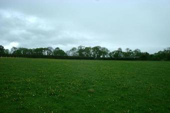 #1: Looking North