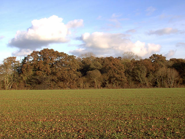 view to the east from 51N4W