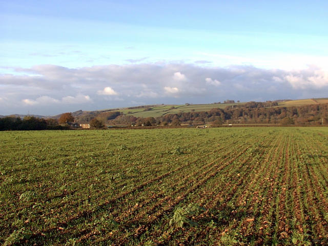 view to the north from 51N4W