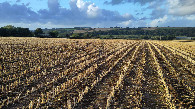 #2: view to the north