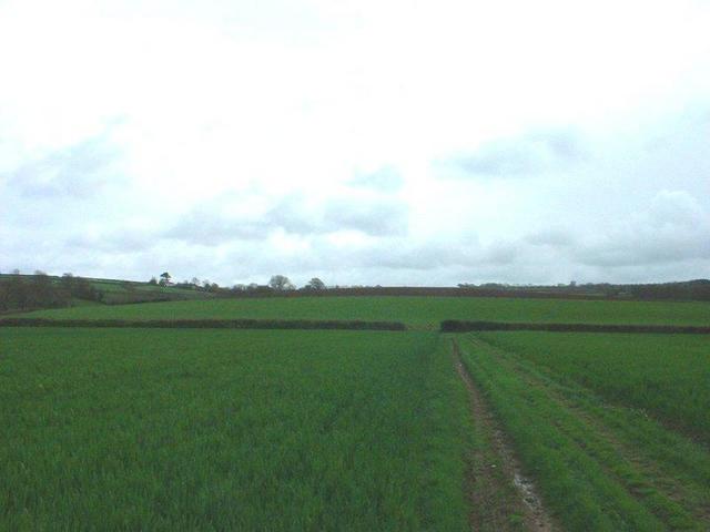 South