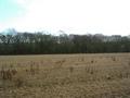 #2: Looking East