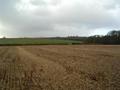 #3: Looking South