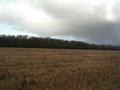 #4: Looking West