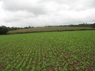 #3: Süden; view south