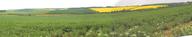 #8: Crop fields around the CP area