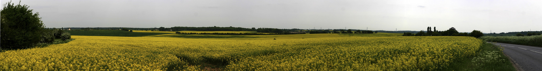 Panorama on way to CP