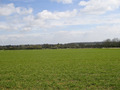 #2: East