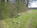 #8: Bench