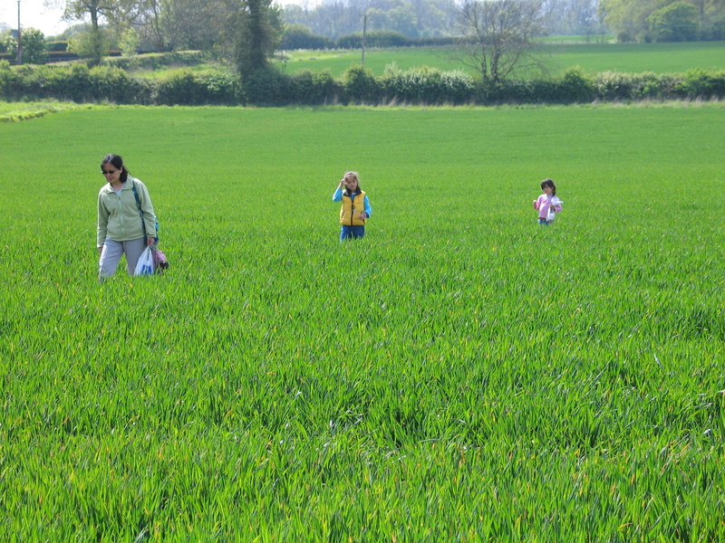 Walking in the fields