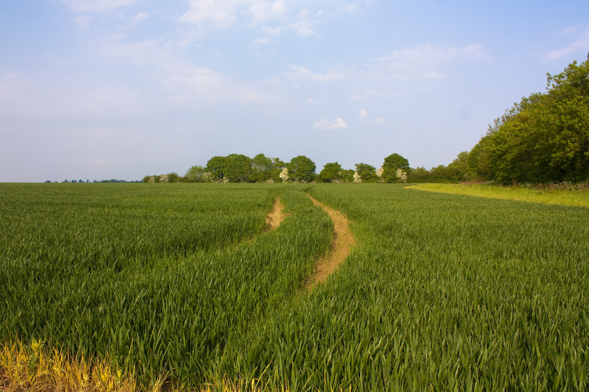 Follow the tracks