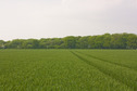#7: North