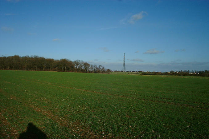 A common sight - mobile phone mast