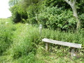 #7: Public footpath towards the confluence point