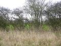 #3: South