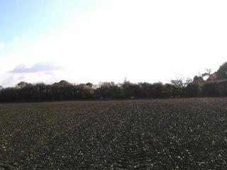 #1: At the confluence looking south