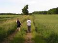 #3: a bridleway leading towards the confluence