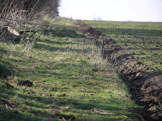 Interesting ground-level shot from the edge of the field where the confluence is located, looking west-southwest.