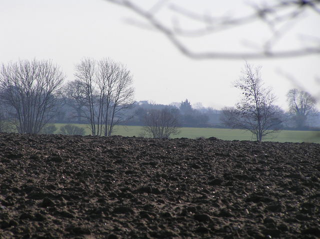 View from the edge of the confluence field to the south.