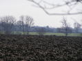 #8: View from the edge of the confluence field to the south.