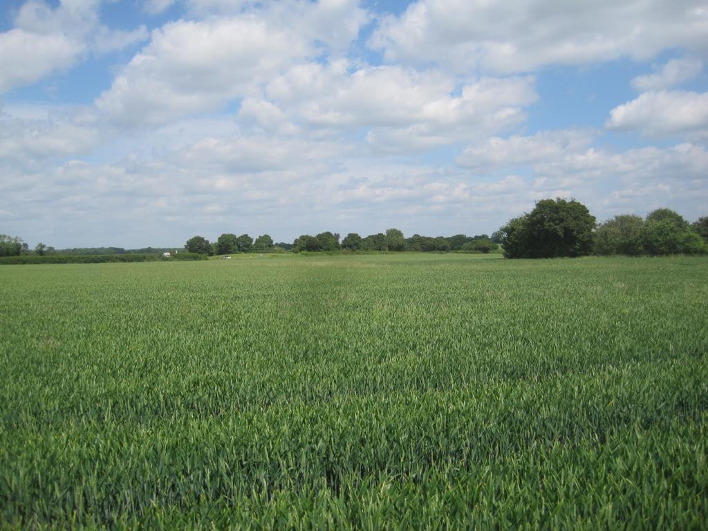 Norden; view north