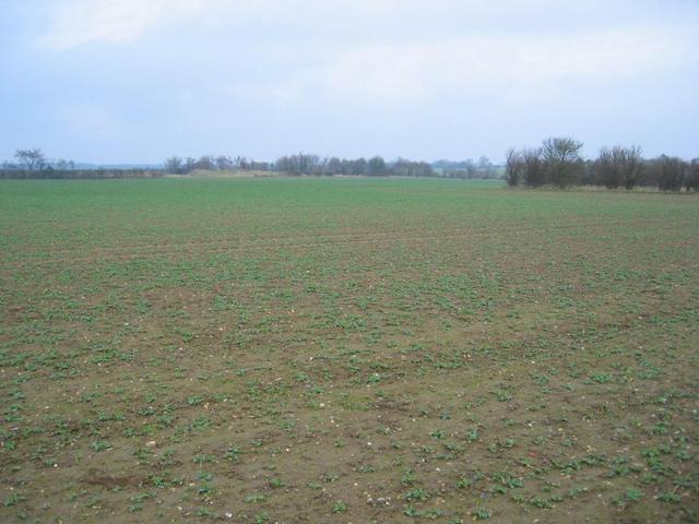 The Confluence - View to the North