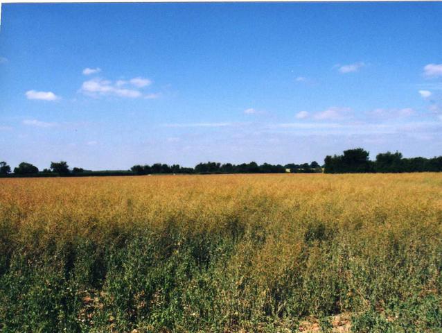 View North