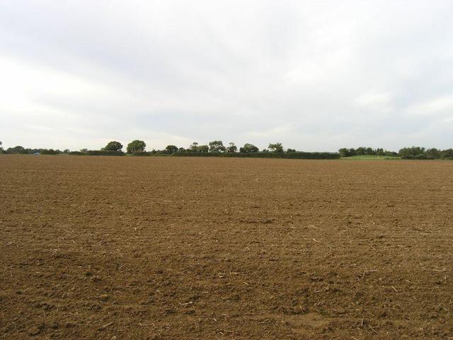 View North