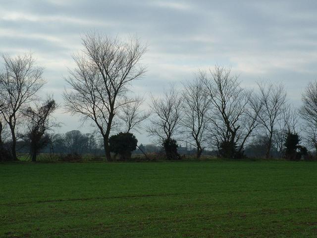 View to the east