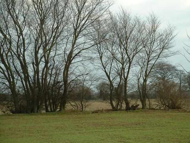 South from the confluence
