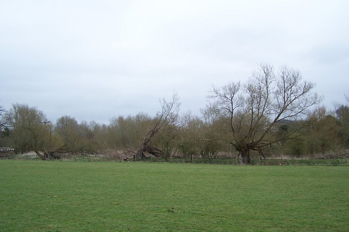 View towards E from the confluence